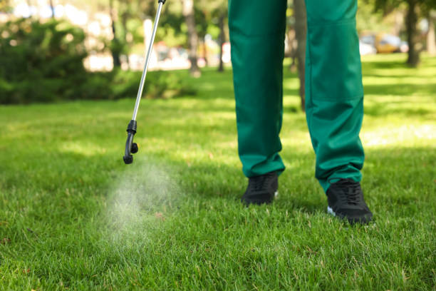 Best Bed Bug Extermination  in Richardson, TX