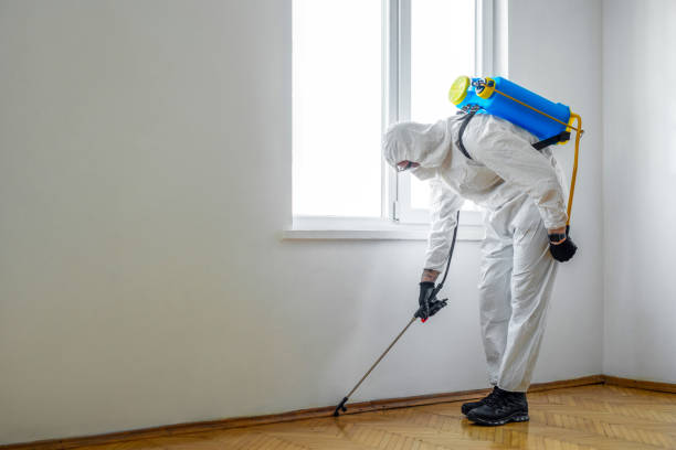 Best Rodent Control Near Me  in Richardson, TX