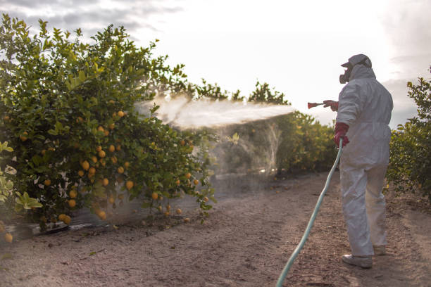 Best Pest Control Near Me  in Richardson, TX
