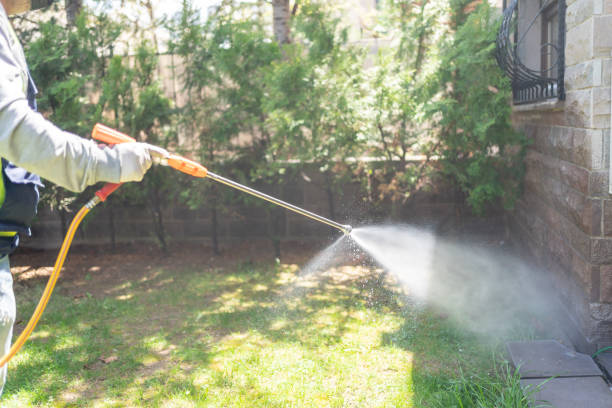 Best Affordable Pest Control Services  in Richardson, TX