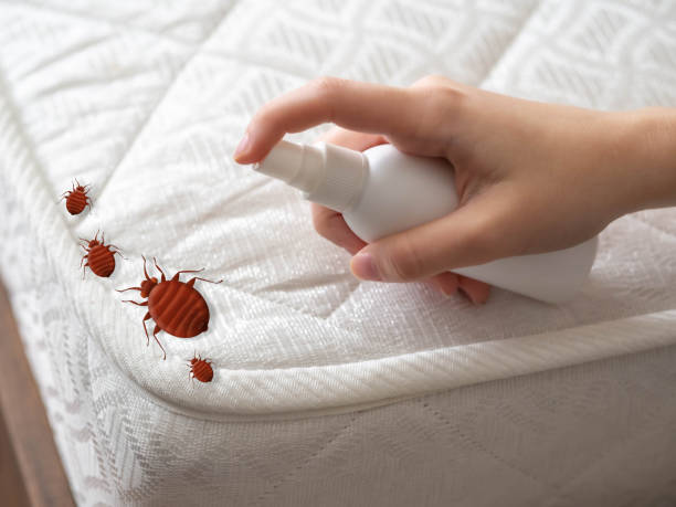 Pest Control for Restaurants in Richardson, TX
