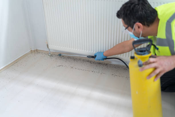 Best Flea Control Services  in Richardson, TX